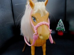 barbie and horse nose